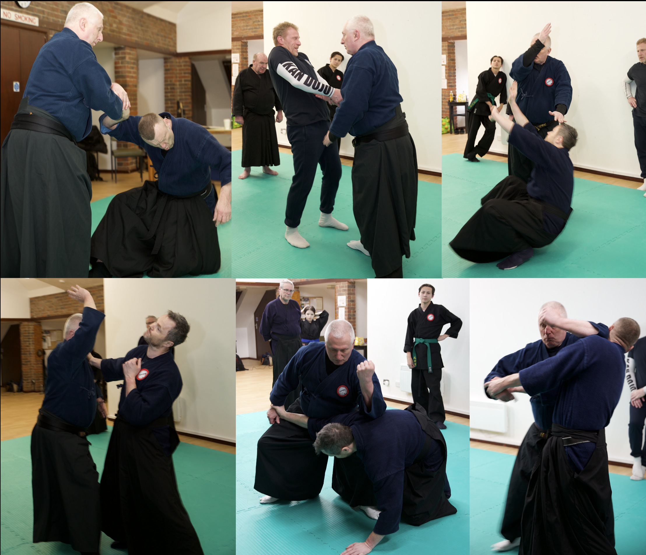 Ryoi Shinto-ryū Jujutsu, One-Day Seminar (& online streaming) - 14th ...